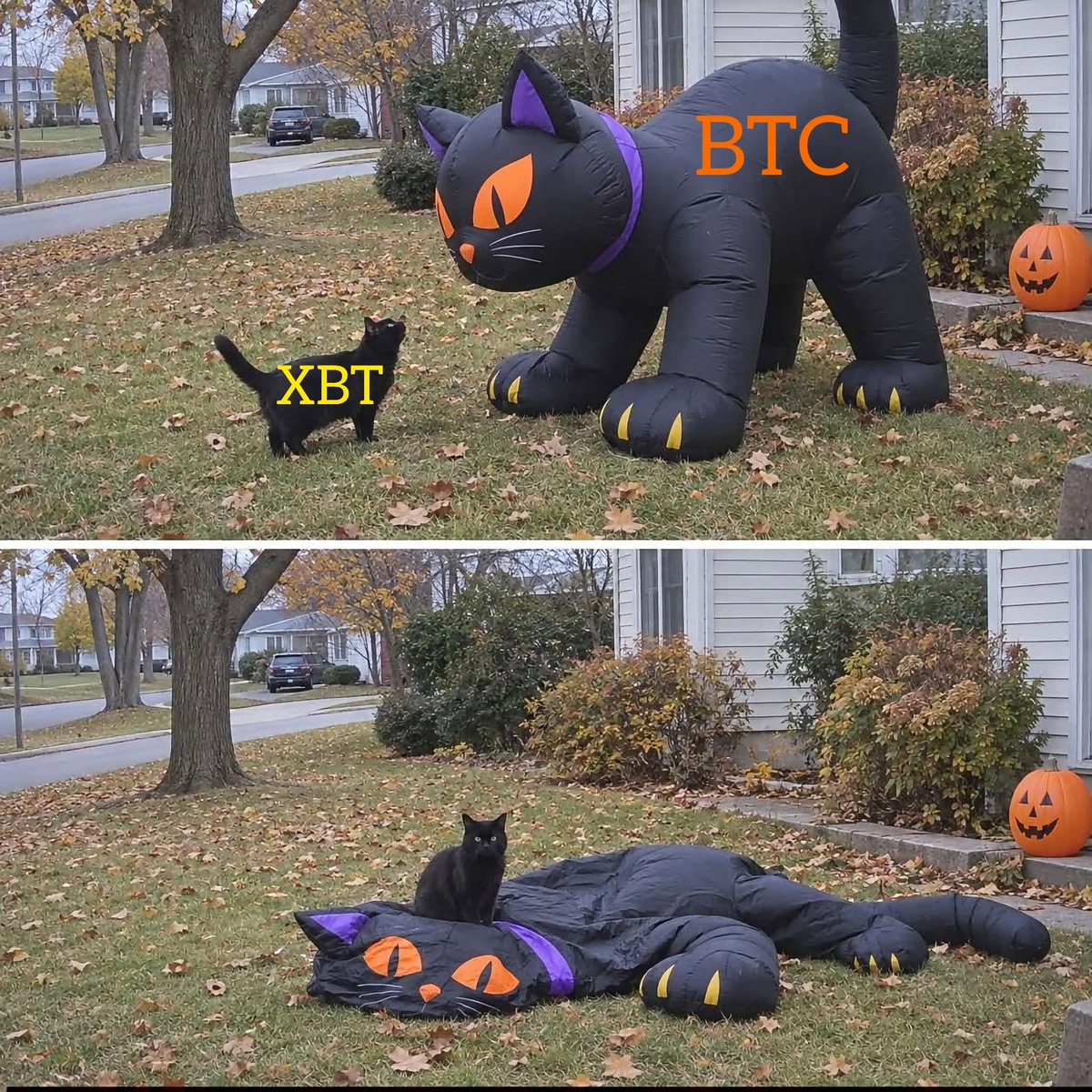 XBT meme