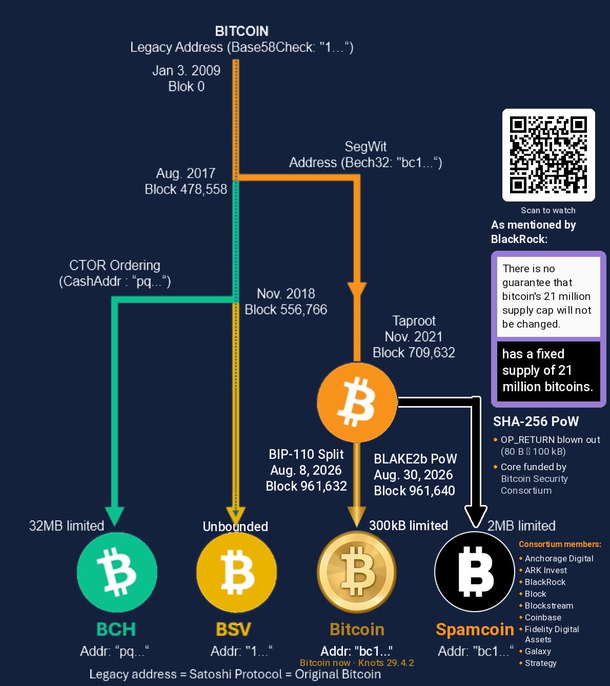 Timeline visualized. And where we are. VS the two chains.