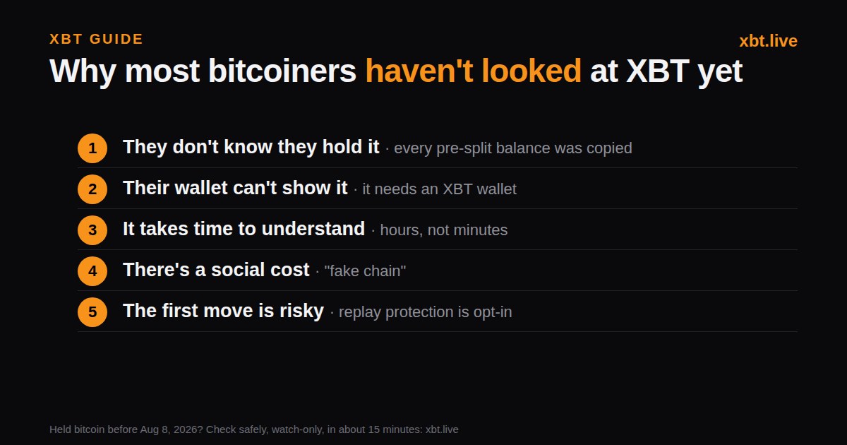 Five reasons bitcoiners have not looked at XBT