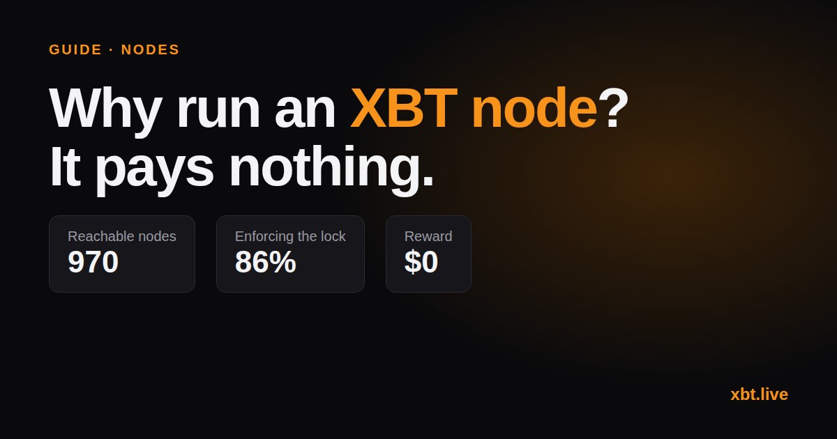 Why run an XBT node