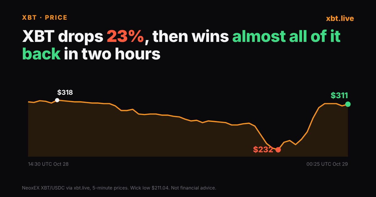 XBT price falls from $318 to $245 on Oct 28, down 23% in five hours
